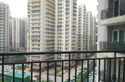 Exotica Dreamville – 1720 SQFT | 3 BHK + 3T + SQ | For Rent | Noida Extension