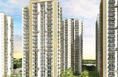 Trident Embassy Reso, Sector 1, Noida Extension