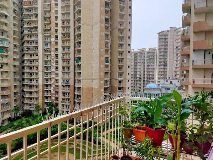 Ajnara Homes, Noida Extension