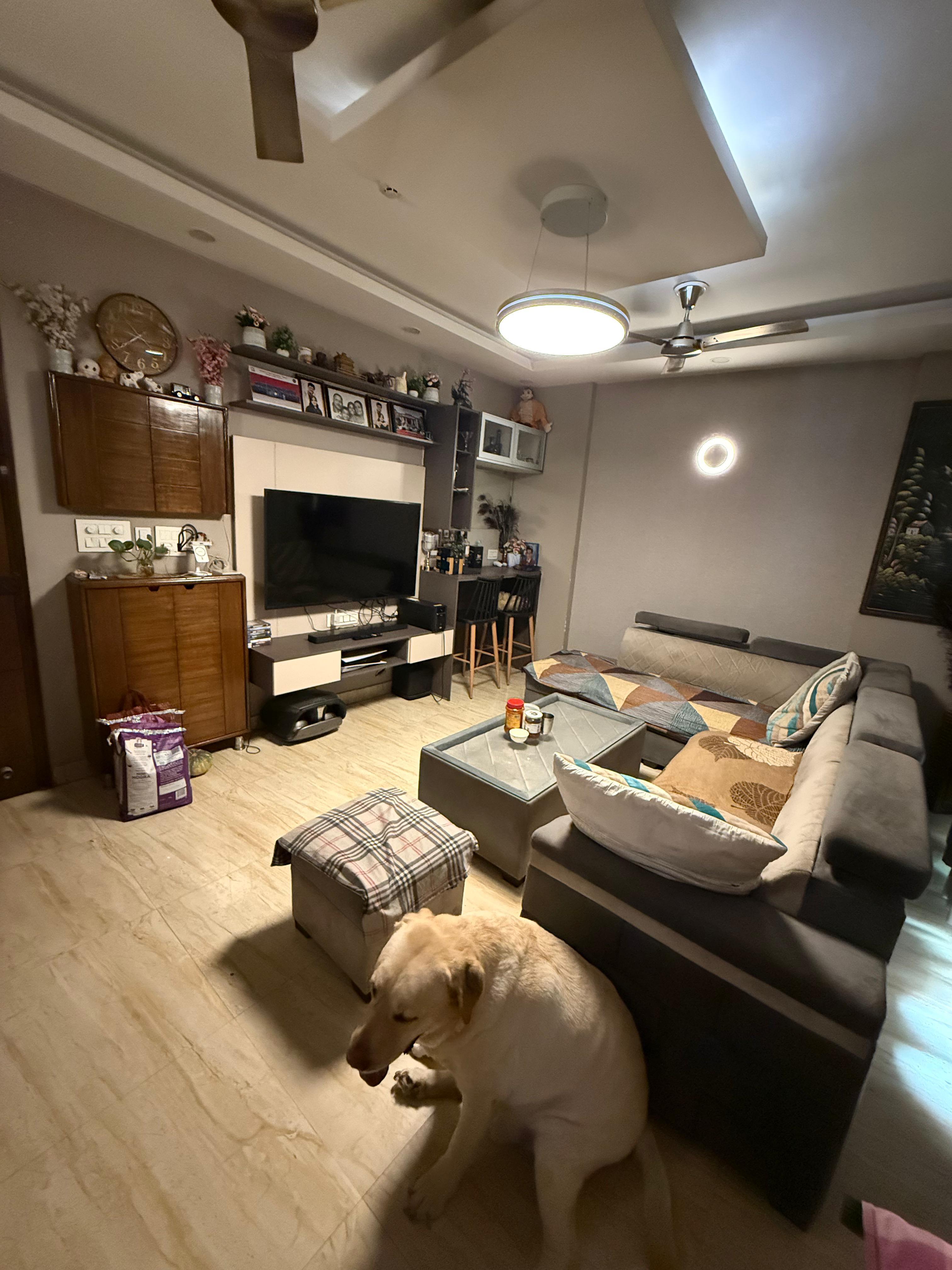 White Orchid, Noida Extension