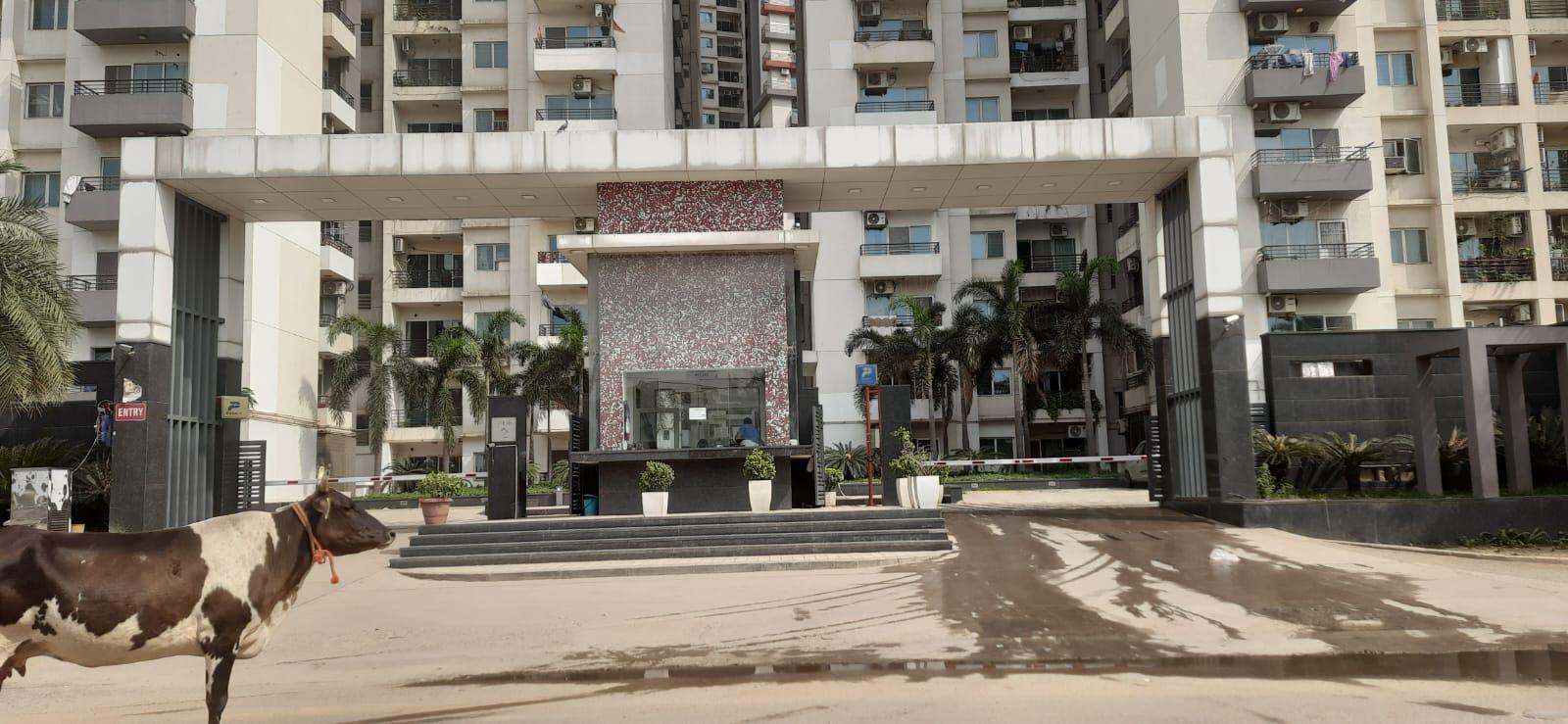 Cherry County – 1620 SQFT | 3 BHK Flat for Sale | Noida Extension