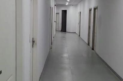 NX One – 595 SQFT | 1 BHK | 1 Toilet | For Rent | Tower T2, Noida Extension